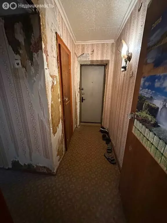 1-комнатная квартира: Скопин, Фабричная улица, 2/2 (29.9 м) - Фото 1