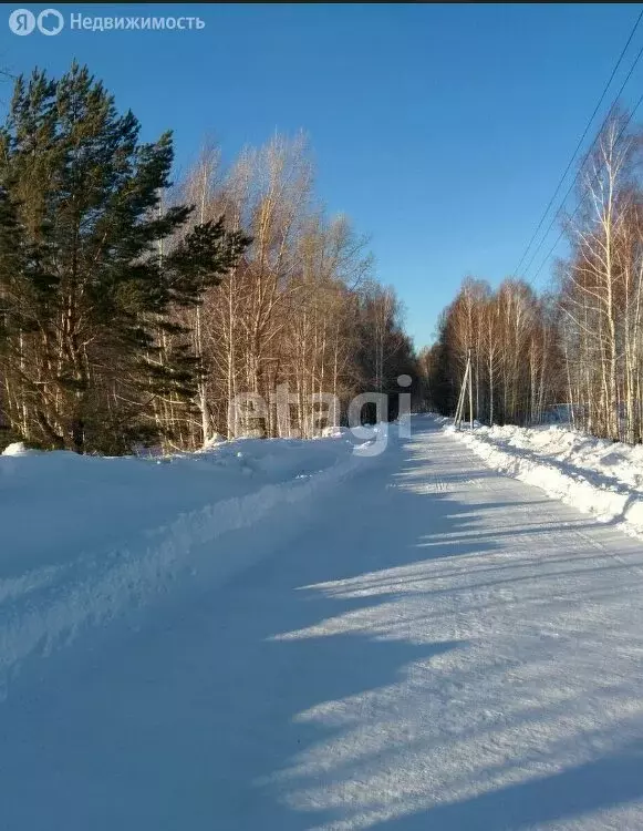 Участок в Мошковский район, коттеджный посёлок Индия (8.5 м) - Фото 0