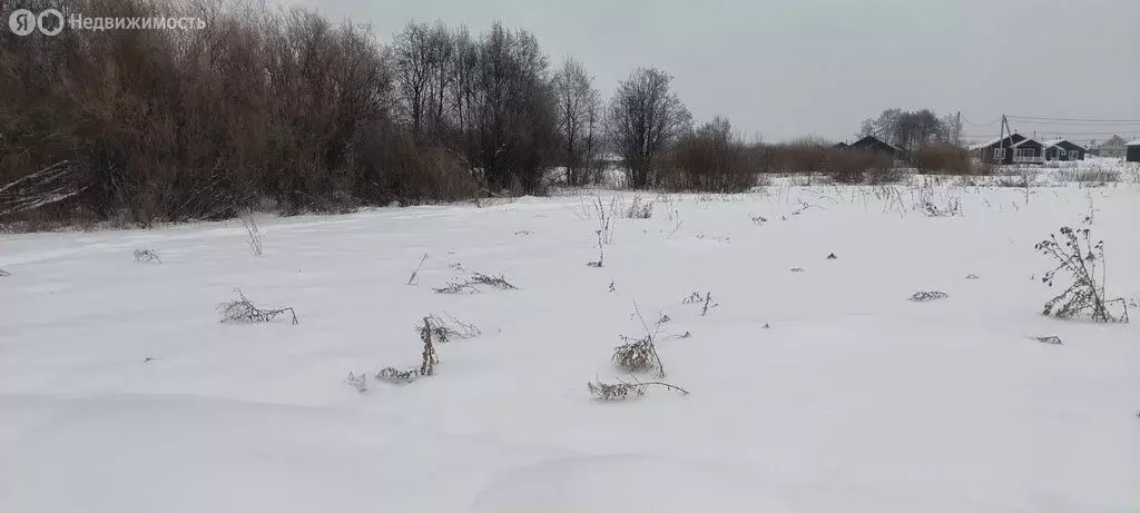 Участок в Завьяловский район, деревня Шудья, коттеджный посёлок Тихие ... - Фото 0