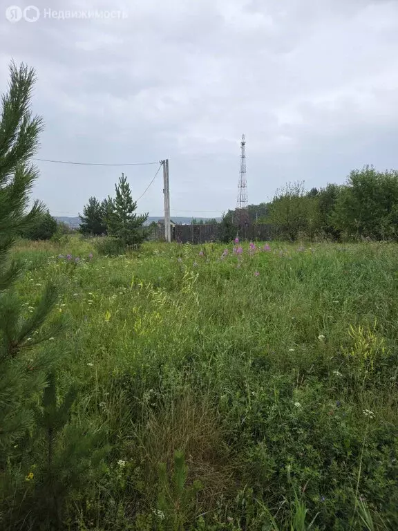 Участок в Свердловская область, Белоярский муниципальный округ, село ... - Фото 0
