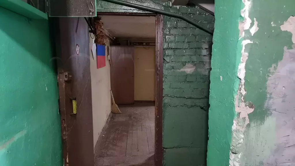 Помещение свободного назначения в Санкт-Петербург Бассейная ул., 31 ... - Фото 0