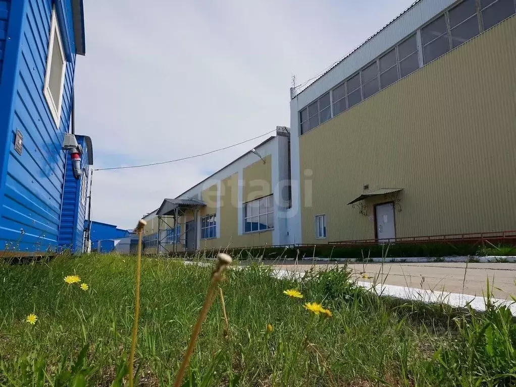 Склад в Ямало-Ненецкий АО, Новый Уренгой ул. Промысловая, 11 (4443 м) - Фото 1