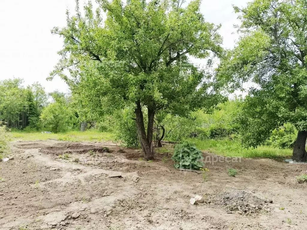 Участок в Волгоградская область, Волгоград Дзержинец СНТ, ... - Фото 1