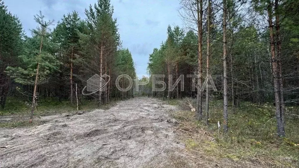 Участок в Тюменская область, Нижнетавдинский муниципальный округ, ... - Фото 0
