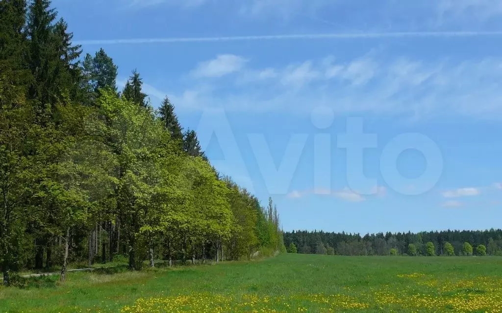 Купить Земельный Участок В Ижевске