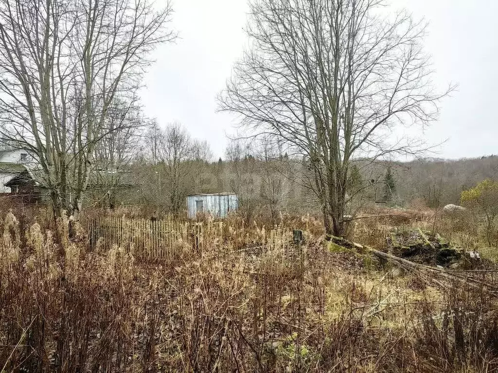 Участок в Ленинградская область, Волхов Виковщина мкр,  (10.0 сот.) - Фото 1