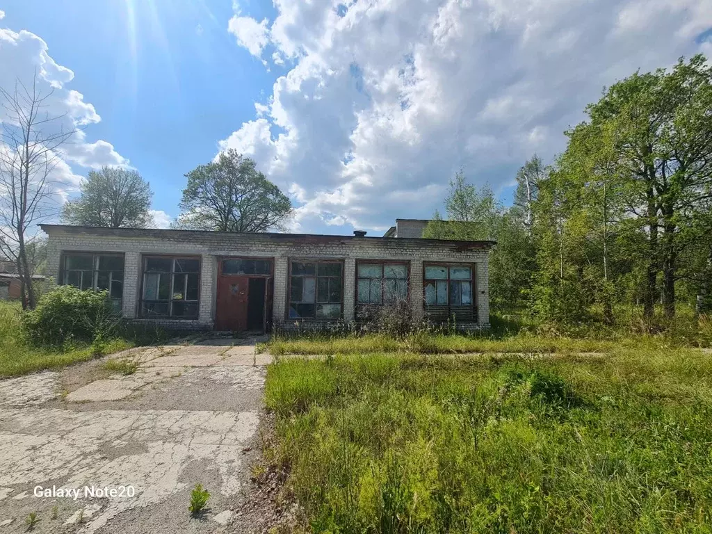 Помещение свободного назначения в Ульяновская область, Тереньгульский ... - Фото 1