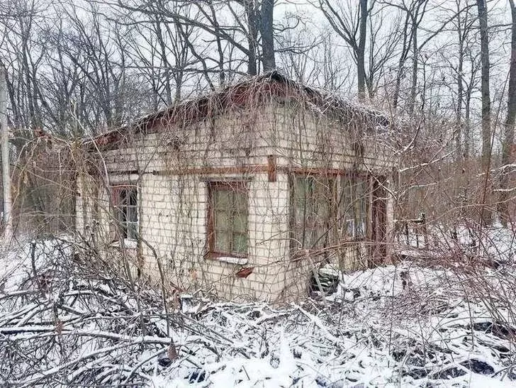 Дом в Белгородская область, Белгородский район, Стрелецкое с/пос, ... - Фото 0