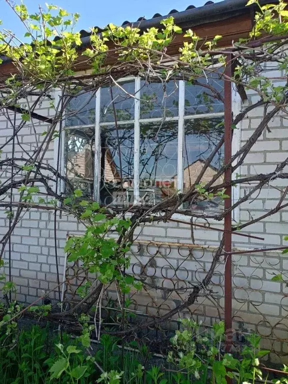 Дом в Брянская область, Брянск Автодорожник садовое общество, 117 (62 ... - Фото 2