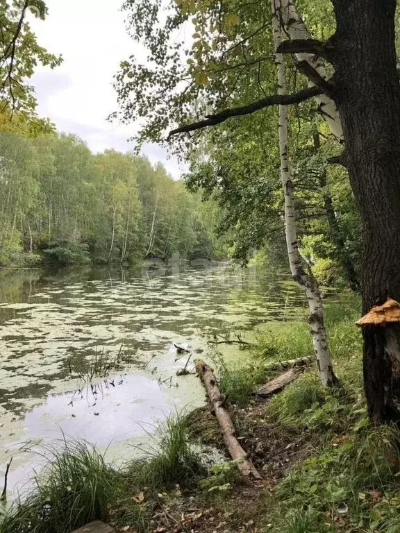 Участок в Нижегородская область, Чкаловск (50 м) - Фото 1