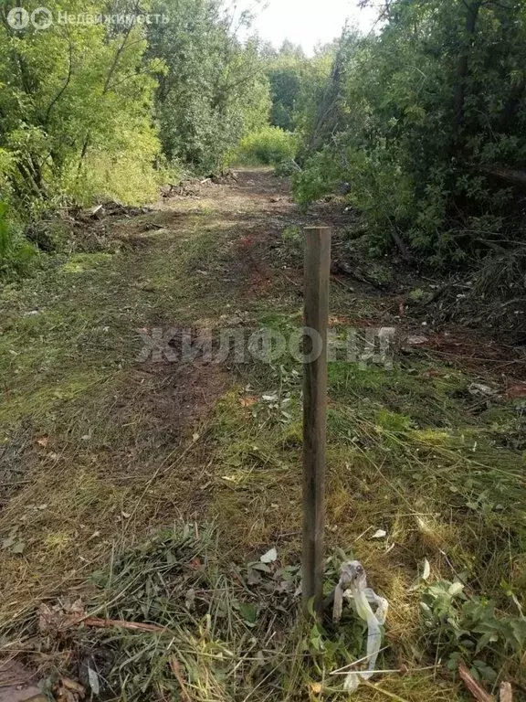 Участок в Новосибирск, улица Солидарности (10 м) - Фото 0