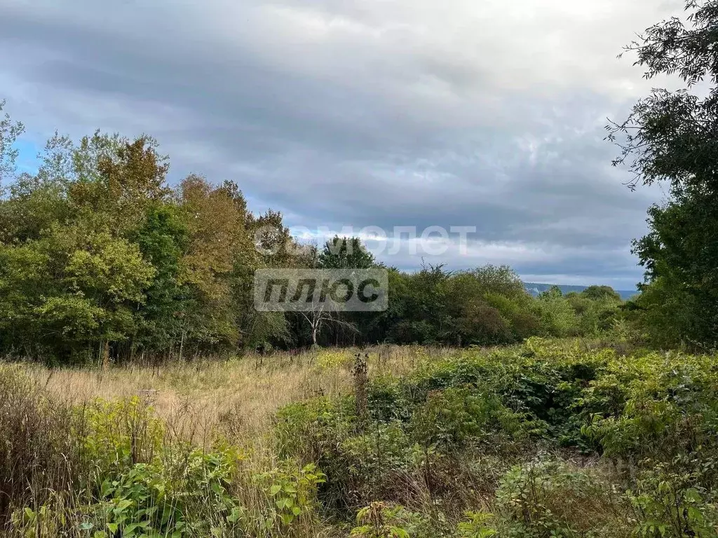 Участок в Краснодарский край, Апшеронский район, Нижегородское с/пос, ... - Фото 2