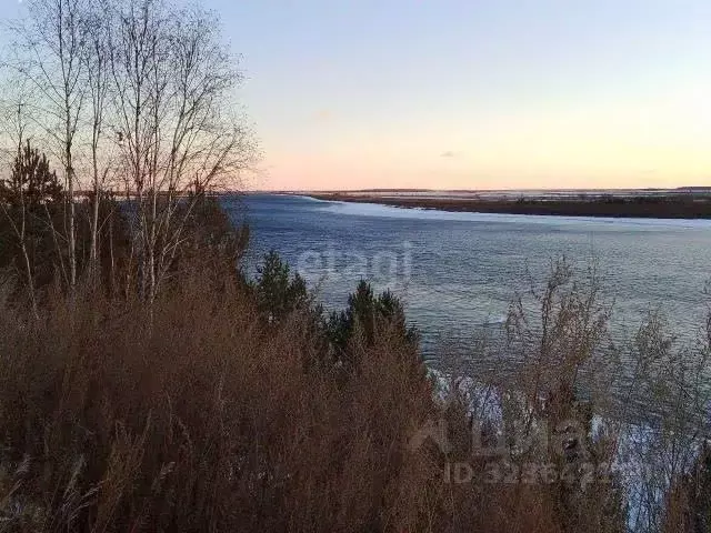 Участок в Амурская область, Свободненский район, с. Малая Сазанка  ... - Фото 1