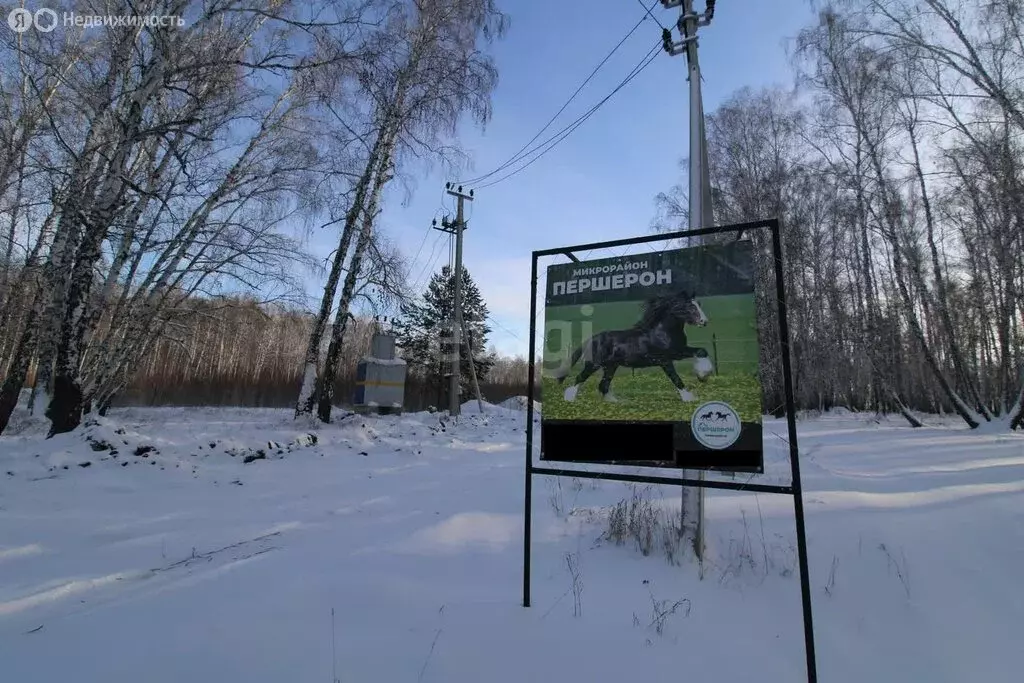 Участок в Кременкульское сельское поселение, коттеджный посёлок ... - Фото 0