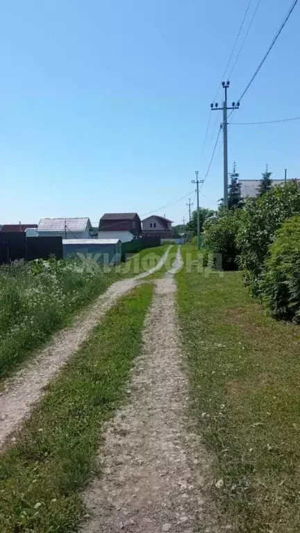 Участок в Новосибирская область, Мошковский район, с. Барлак ул. Новая ... - Фото 1