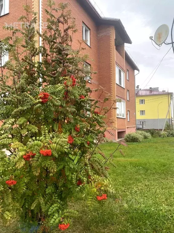 2-к кв. Новосибирская область, Коченево рп ул. Ипподромская, 2В (39.8 ... - Фото 1