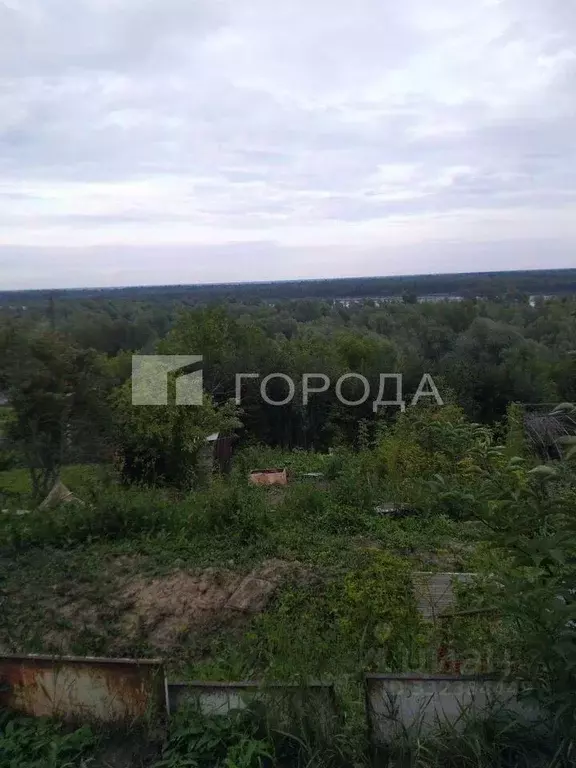 Дом в Алтайский край, Барнаул Купинская ул., 13 (28 м) - Фото 1