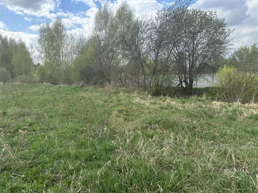 Участок в Московская область, Богородский городской округ, д. Исаково ... - Фото 1