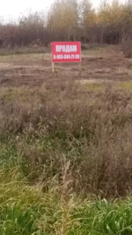 Участок в Амурская область, Благовещенский район, пос. Заречный  (10.0 ... - Фото 2