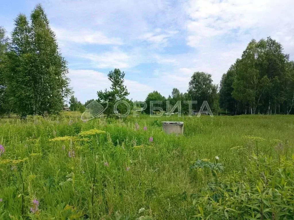 Участок в Тюменская область, Тюмень СОСН Березка-3 тер., ул. 15-я ... - Фото 0