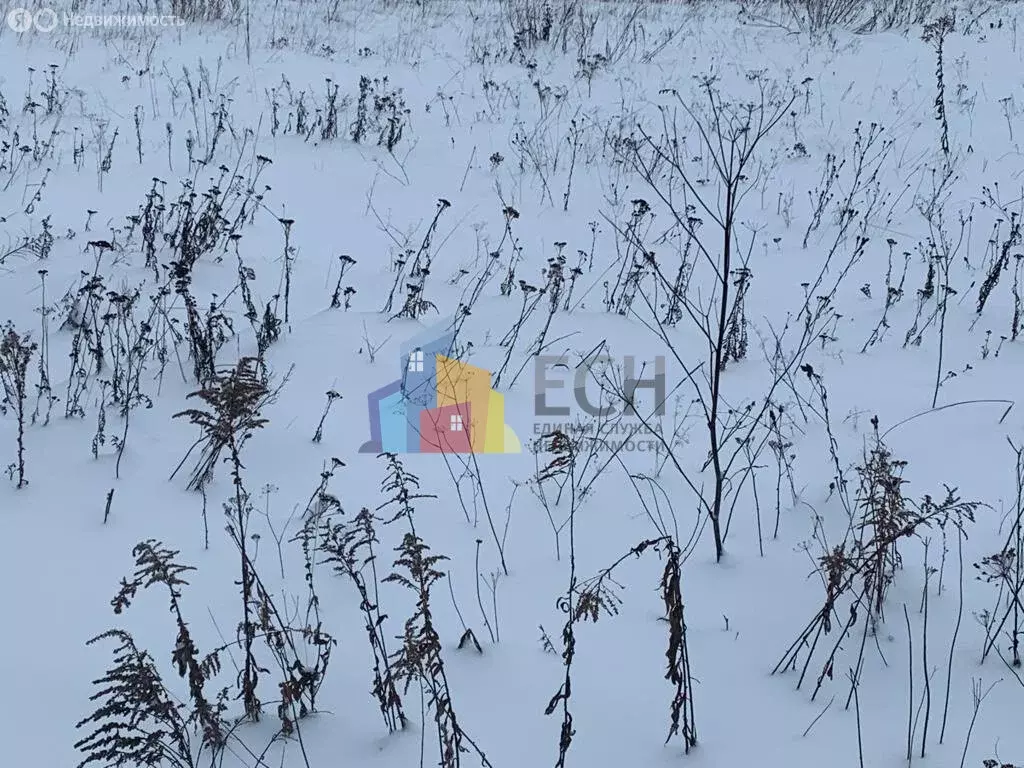 Участок в Тульская область, городской округ Тула, посёлок Рассвет (12 ... - Фото 2