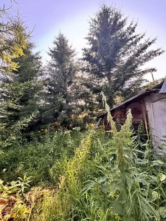 Дача 57,9 м на участке 12 сот. - Фото 1