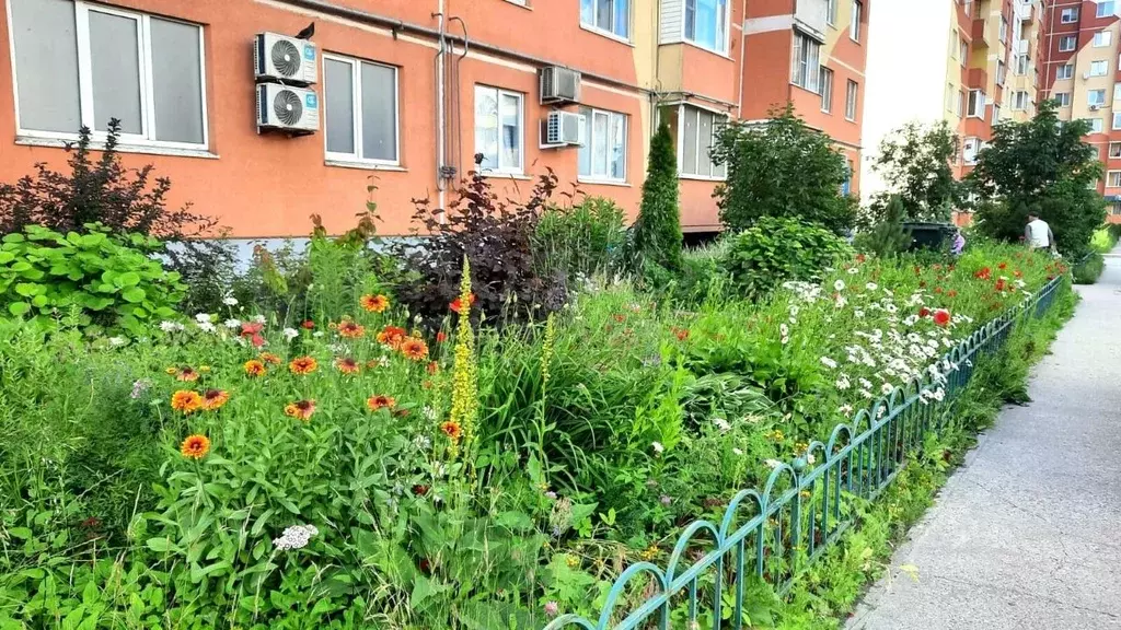1-к кв. Новгородская область, Великий Новгород Большая ... - Фото 1