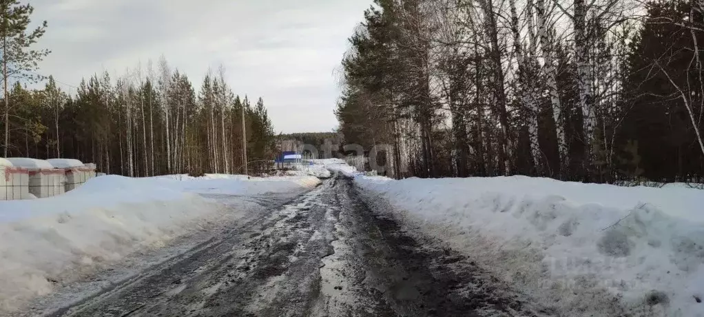 Участок в Свердловская область, Талица пл. Молодежная (15.0 сот.) - Фото 0