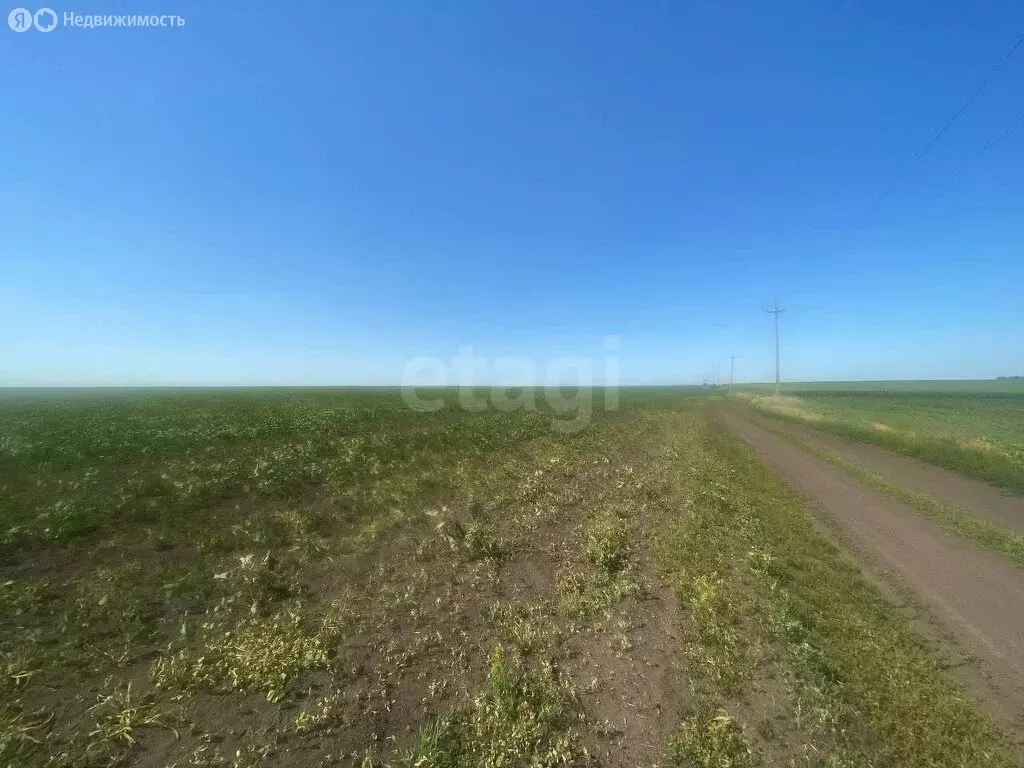 Участок в Белгородский район, село Стрелецкое (400 м) - Фото 1