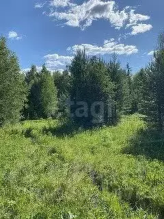 Участок в Костромская область, Костромской район, Кузьмищенское с/пос, ... - Фото 0