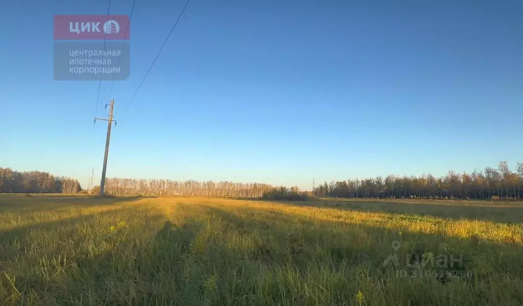 Участок в Рязанская область, Рязанский район, Дядьковское с/пос, д. ... - Фото 0