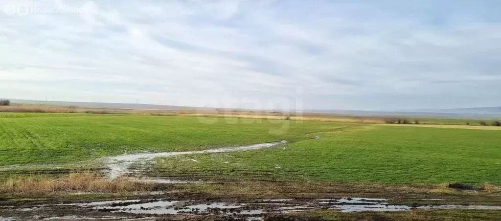 Участок в Владиславовка, Крымская улица (302.3 м) - Фото 2