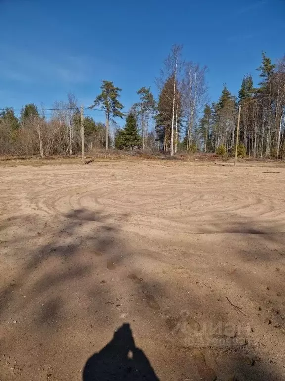 Участок в Ленинградская область, Выборгский район, Приморское ... - Фото 1