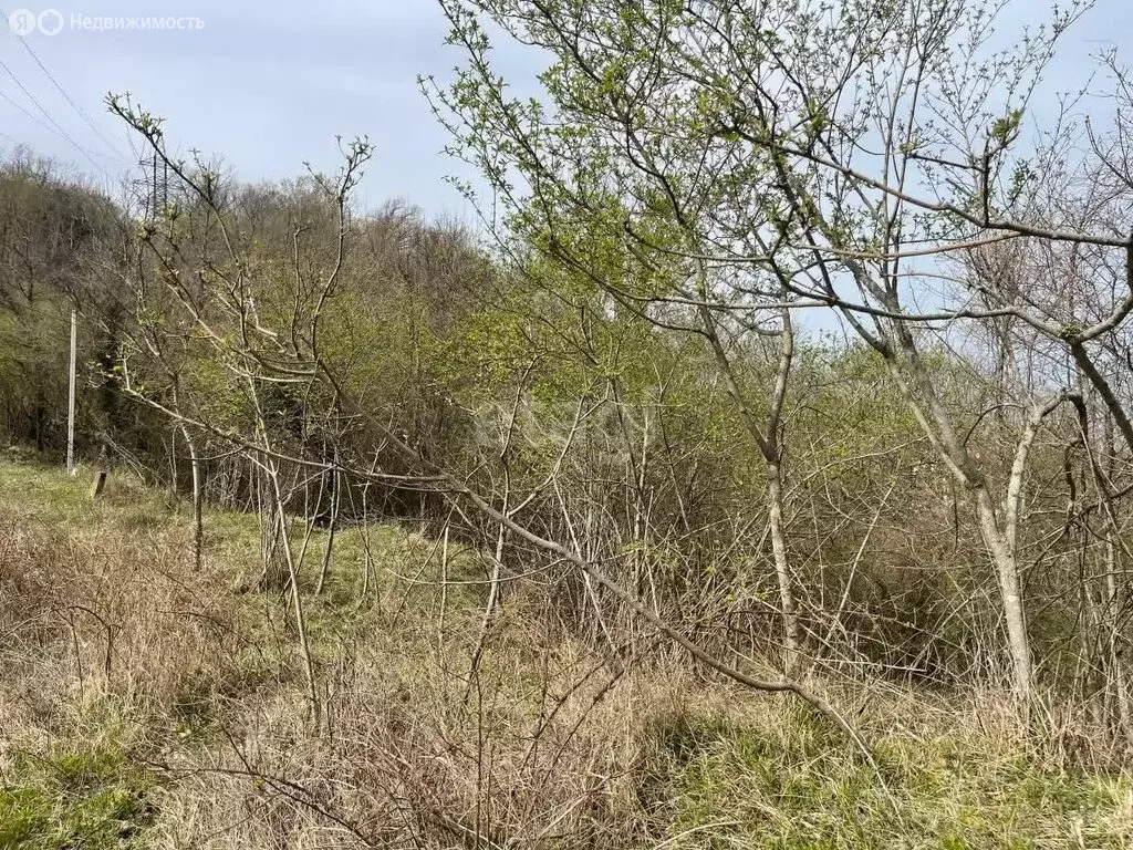 Участок в Краснодарский край, Сочи, посёлок Вардане (5.6 м) - Фото 0