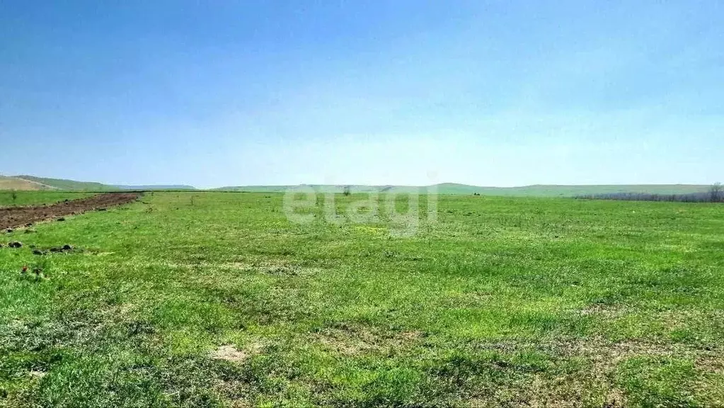 Участок в Ставропольский край, Минераловодский муниципальный округ, ... - Фото 1