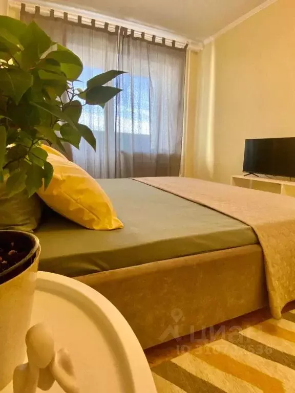 1-к кв. Алтайский край, Бийск ул. Михаила Митрофанова, 2 (39.0 м) - Фото 1
