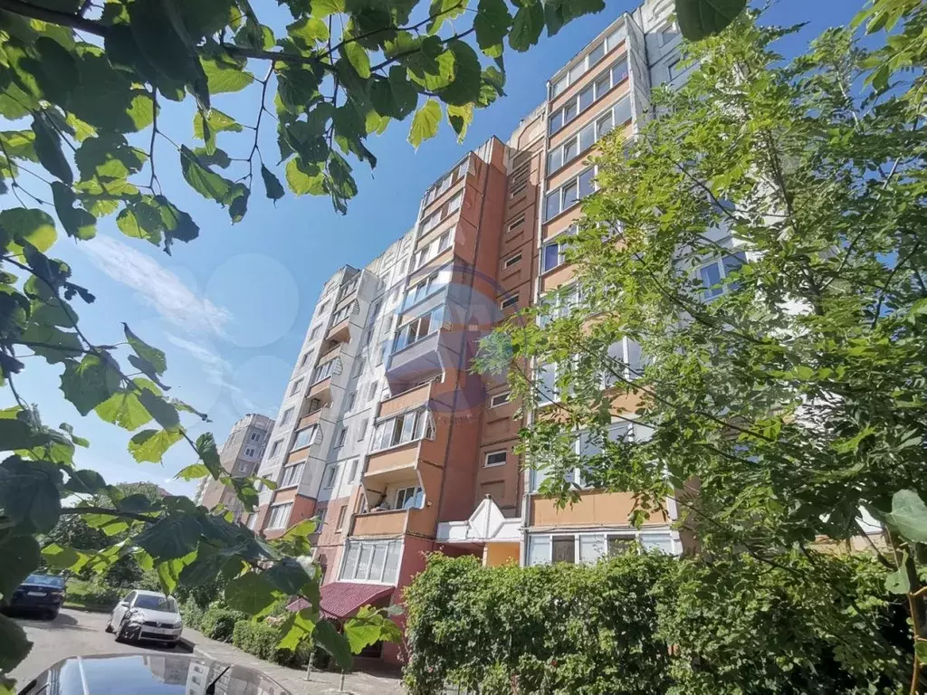 2-к. квартира, 53 м, 4/9 эт. - Фото 0