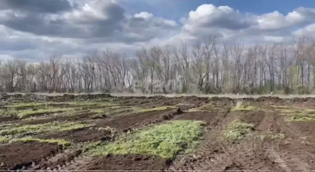 Участок в Оренбургская область, Оренбургский район, с. Благословенка, ... - Фото 0