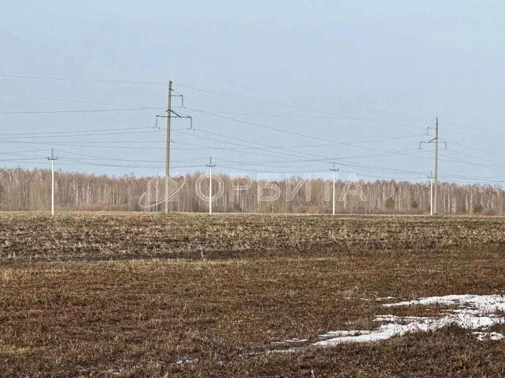 Участок в Тюменская область, Тюменский район, д. Елань  (8.13 сот.) - Фото 1