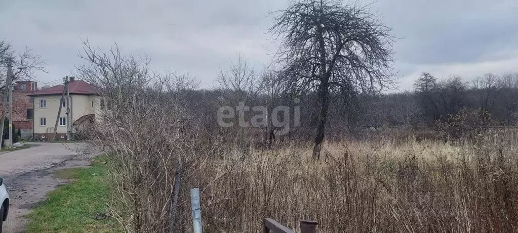 Участок в Калининградская область, Калининград пос. Лермонтовский, ул. ... - Фото 1