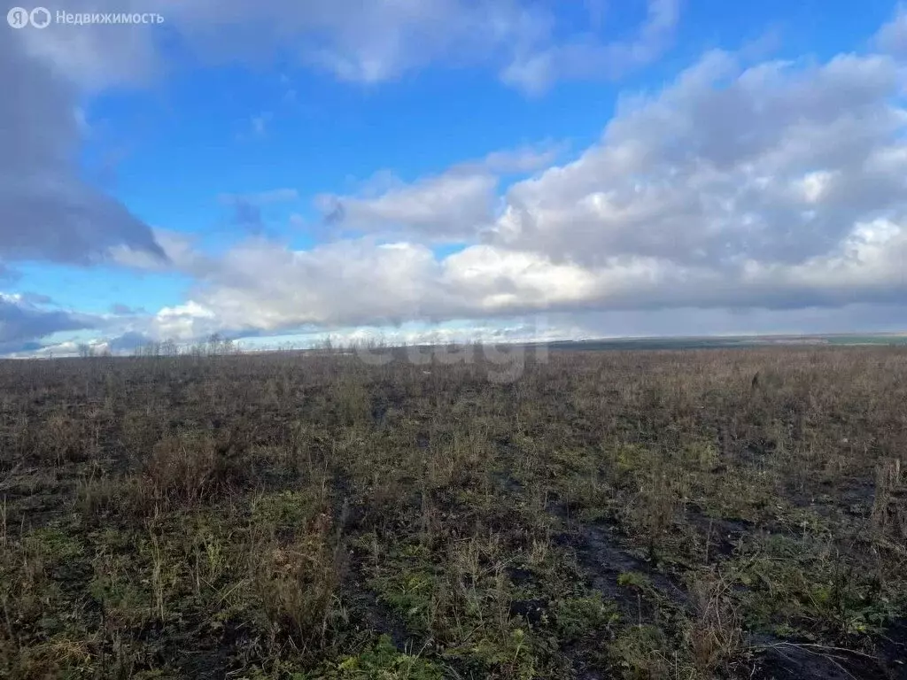 Участок в посёлок Чекаевский, Загородная улица (13.87 м) - Фото 1