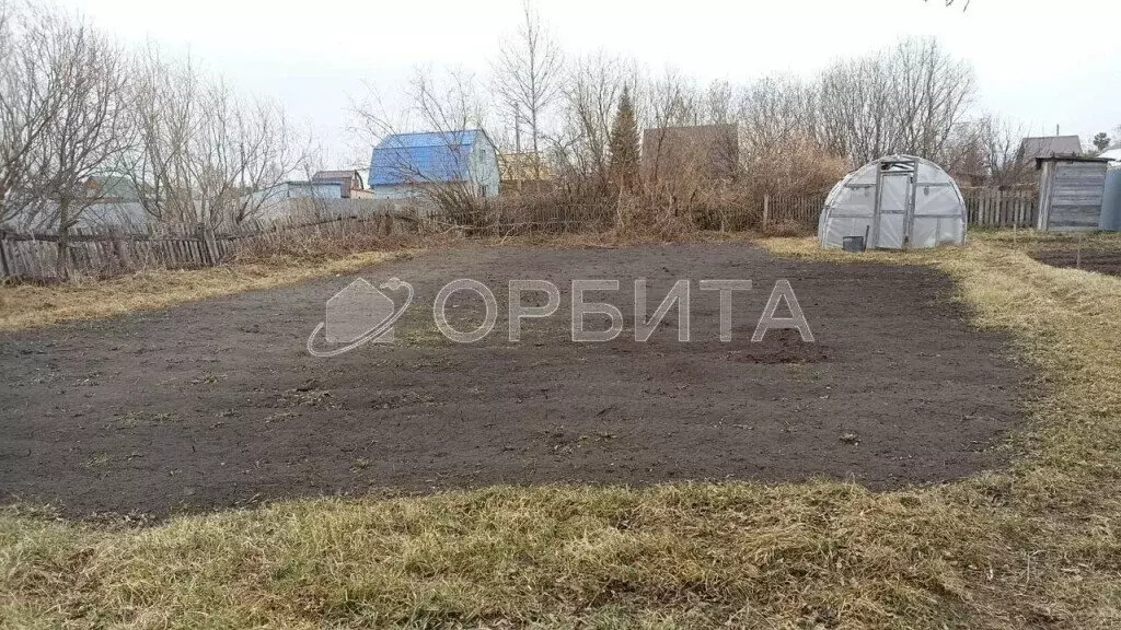 Участок в Тюмень, СНТ Тополёк (6.61 м) - Фото 1