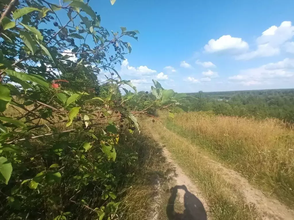 Участок в Коми, Сыктывдинский район, Ыб муниципальное образование, д. ... - Фото 1