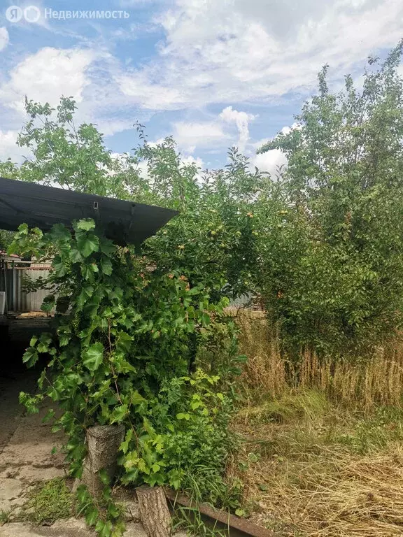 Дом в Новочеркасск, Дальняя улица, 50 (92.8 м) - Фото 1