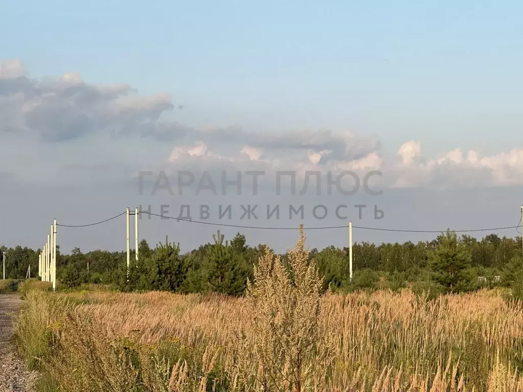 Участок в Липецкая область, Липецк ул. Сентябрьская, 6 (9.56 сот.) - Фото 1