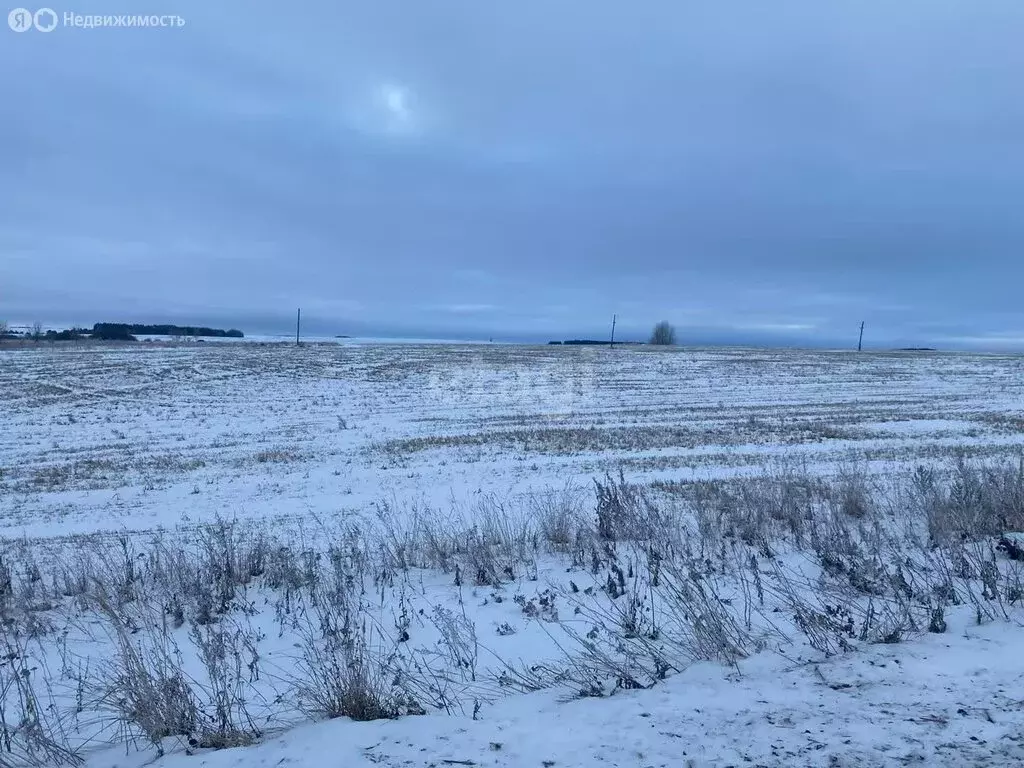 Участок в Нижегородская область, Дальнеконстантиновский муниципальный ... - Фото 0