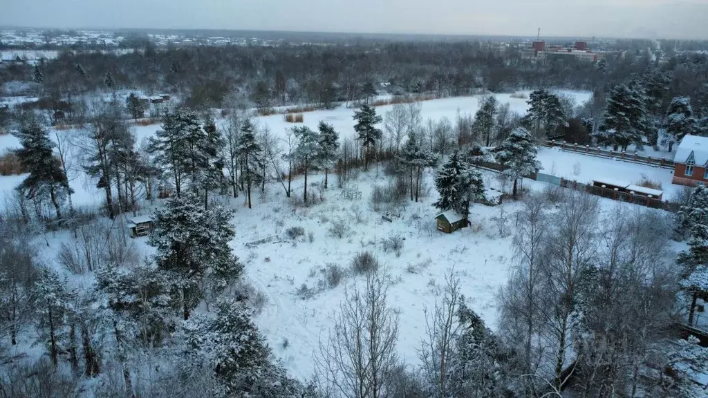 Участок в Санкт-Петербург, Санкт-Петербург, Петергоф Знаменка тер.,  ... - Фото 1