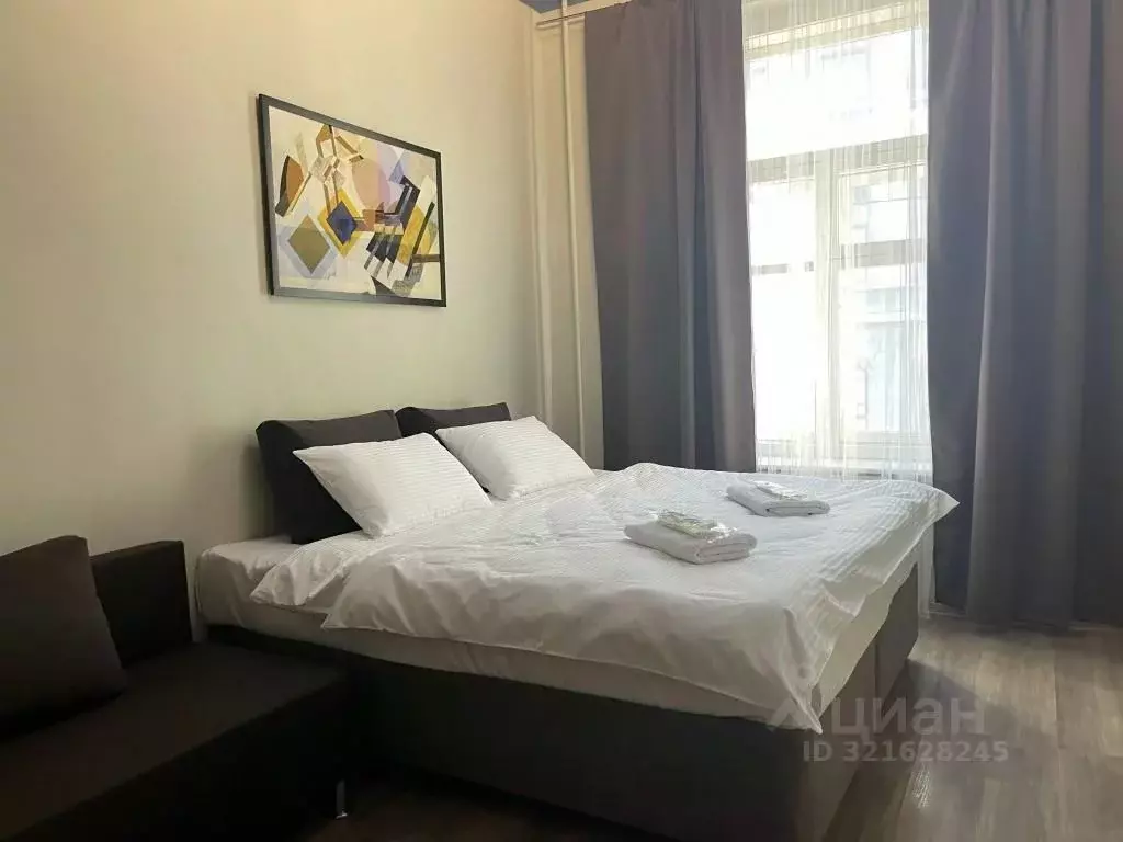 1-к кв. Санкт-Петербург Вознесенский просп., 41 (20.0 м) - Фото 1