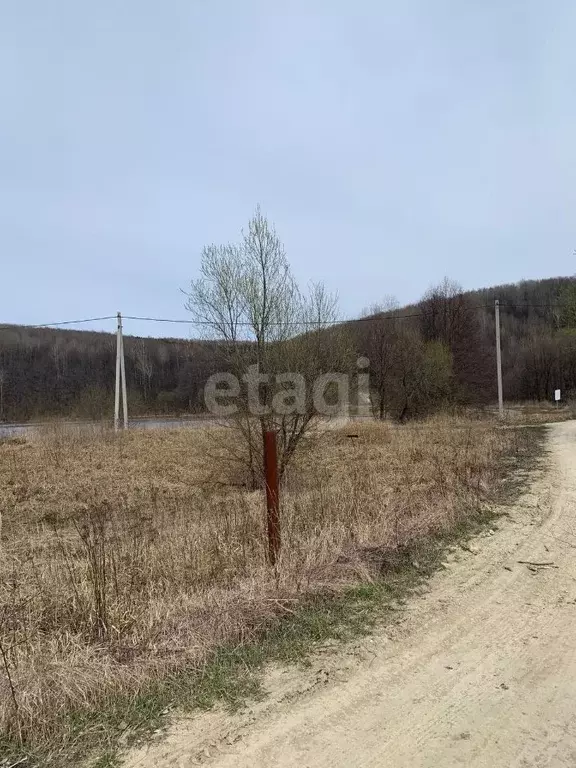 Участок в Мордовия, Кочкуровский район, с. Мурань  (10.0 сот.) - Фото 0