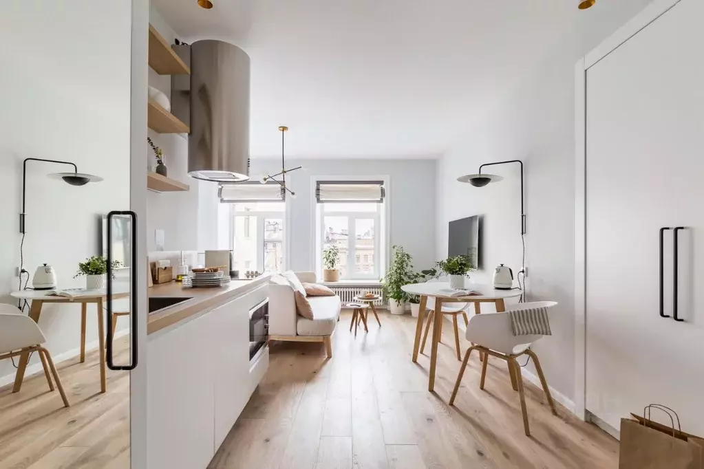 1-к кв. Санкт-Петербург Кузнечный пер., 19-21 (24.0 м) - Фото 1